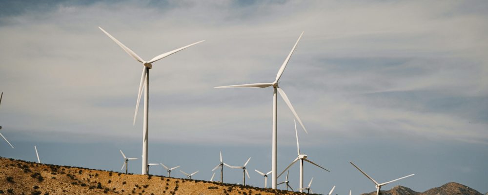 pexels-kindelmedia-9800109