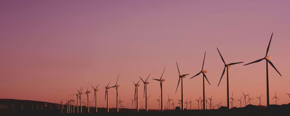 pexels-narcisa-aciko-1292464