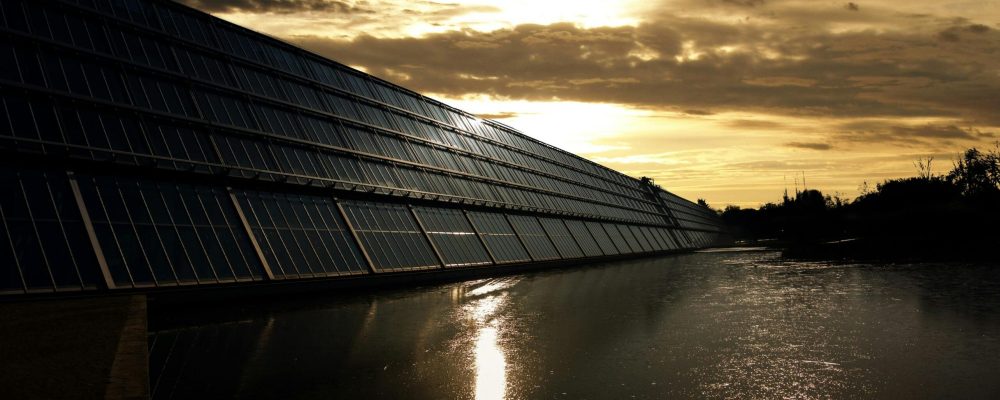 pexels-pixabay-371917